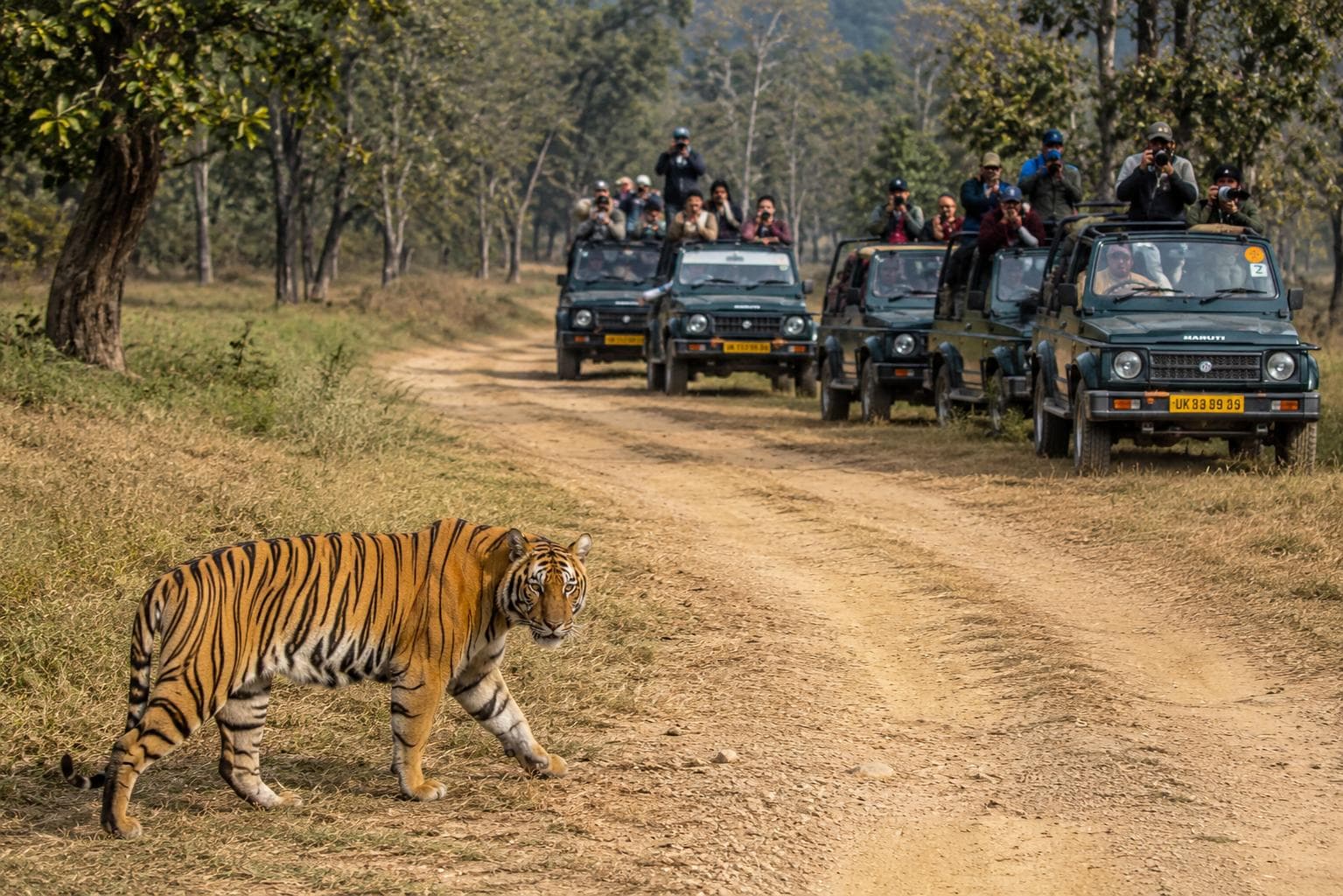 Dehradun to Ramnagar